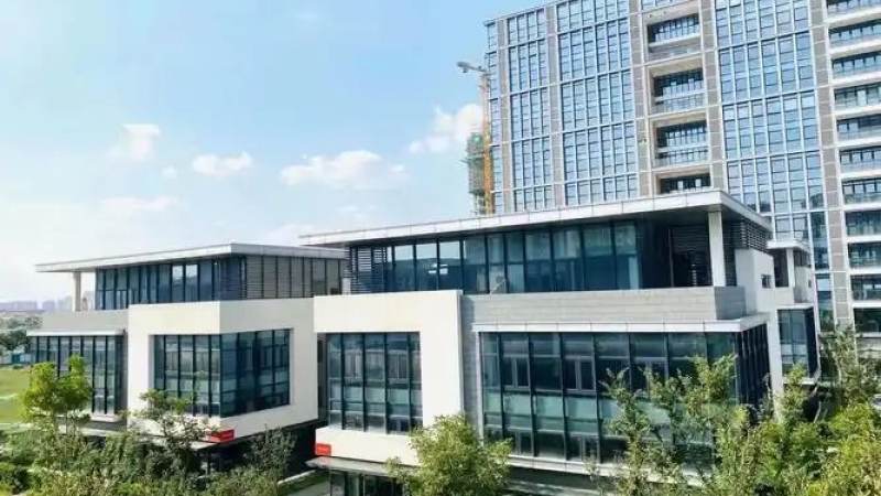 体育赛事数据服务正在从延迟播报转向实时同步
